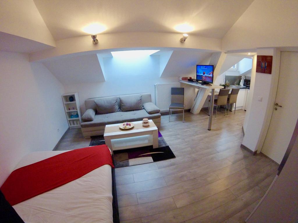 Studio La Mesange Strasbourg Bagian luar foto