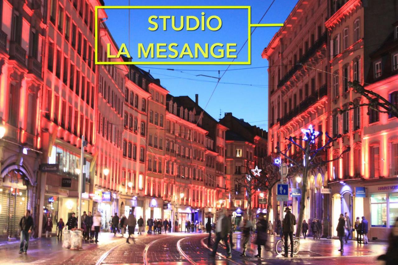 Studio La Mesange Strasbourg Bagian luar foto